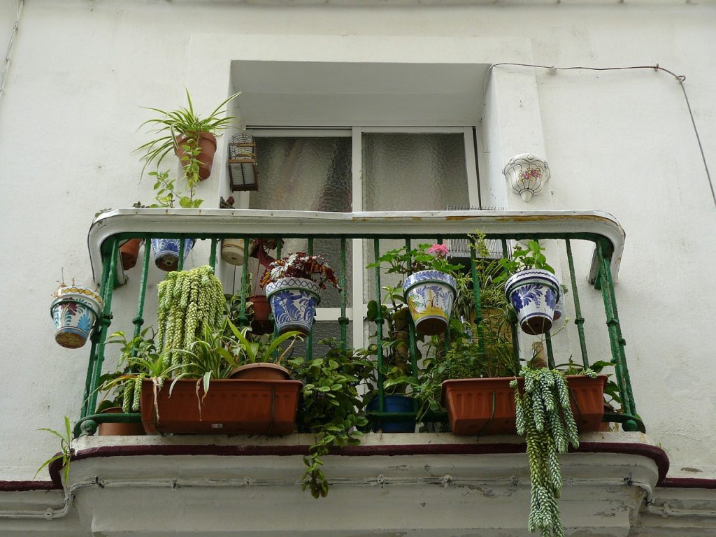 piante balcone 1